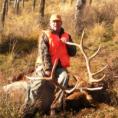 Hunt
