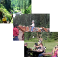 Group Activities