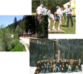 Groups